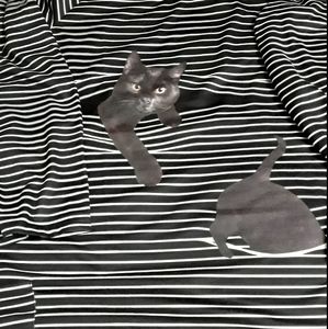 Peekaboo kitty long sleeve shirt
